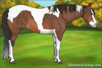Horse Color:Bay Splash Tobiano Varnish  Brindle