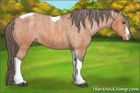 Horse Color:Bay Roan Splash Tobiano Blanket  Brindle