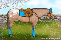 Horse Color:Bay Splash Tobiano Blanket  Brindle