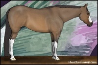 Horse Color:Buckskin Roan Dun 