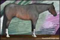 Horse Color:Brown Roan 