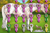 Horse Color:White Spotted Liver Chestnut Pearl Mushroom Appaloosa 