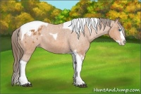 Horse Color:Bay Splash Tobiano Blanket  Brindle