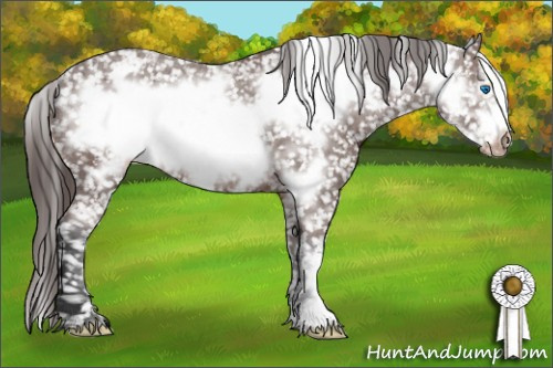 Horse Color: Brown Frame Snowflake Varnish 