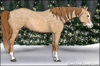 Horse Color:Red Dun Ice Sabino Splash 
