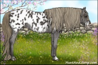 Horse Color:Smoky Black Frame Appaloosa Rabicano 