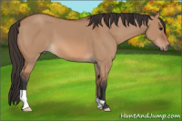 Horse Color:Bay Dun