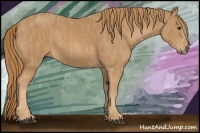 Horse Color:Chestnut Splash Frame  Brindle