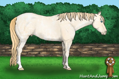 Horse Color: Buckskin Ice Pearl 