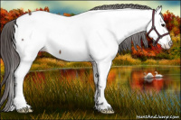 Horse Color:Bay Fewspot 