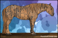Horse Color:Brown Rabicano Brindle