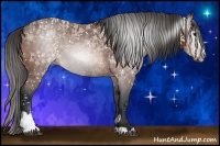 Horse Color:Gray Bay Sabino Varnish Rabicano 