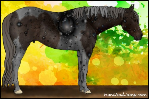 Horse Color: ERROR: UNKNOWN ANOMALY