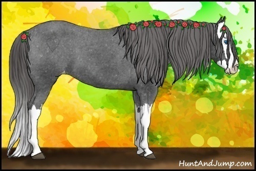 Horse Color: Black Splash Varnish 