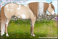 Horse Color:White Spotted Red Dun Pearl Frame 