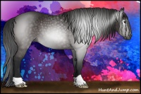 Horse Color:Gray Brown Rabicano 