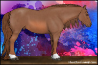 Horse Color:Red Roan 