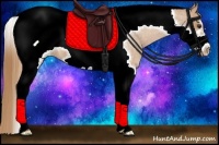 Horse Color:Red Roan Tobiano Frame Appaloosa 