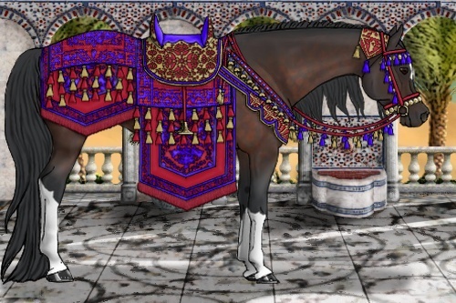 Horse Color: Bay 