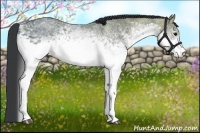 Horse Color:White Spotted Black Ice 