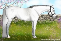 Horse Color:Gray Smoky Grullo Ice Frame 