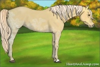 Horse Color:Palomino Ice Roan 