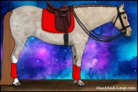 Horse Color:Red Ice Roan 