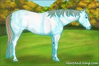 Horse Color:Thunderstruck White Spotted Gold Champagne 