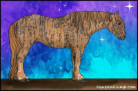 Horse Color:Brown Rabicano  Brindle