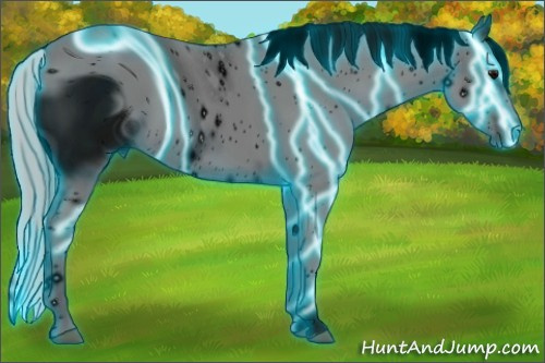 Horse Color: ERROR: UNKNOWN ANOMALY