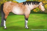 Horse Color:Gray Buckskin Ice Tobiano 