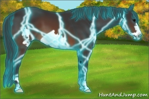 Horse Color: Thunderstruck Brown Frame 