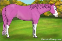 Horse Color:Watercolor Chestnut Splash 