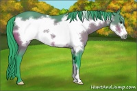 Horse Color:Watercolor Bay Frame