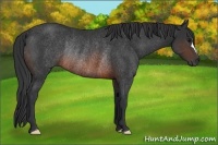 Horse Color:Brown Rabicano 