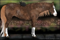Horse Color:Chestnut Ice Sabino Splash