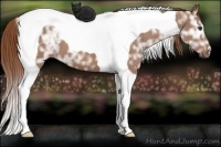 Horse Color:Chestnut Ice Tobiano 