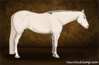 Horse Color:Perlino 
