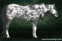 Horse Color:Black Ice Tobiano