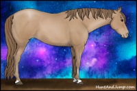 Horse Color:Black Pearl
