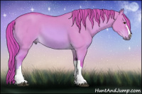 Horse Color:Watercolor Red Dun 