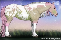 Horse Color:Watercolor Bay Tobiano Appaloosa 