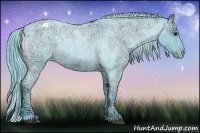 Horse Color:Watercolor Blue Ice Roan Appaloosa