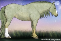 Horse Color:Watercolor Red Roan 