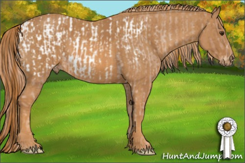 Horse Color: Chestnut Blanket Rabicano  Brindle