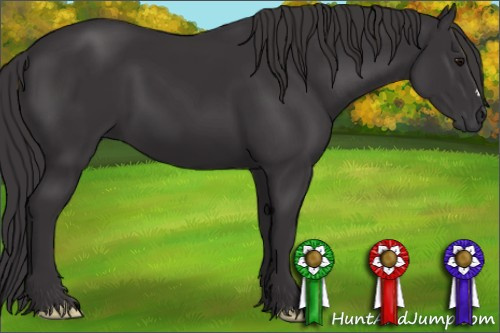 Horse Color: Smoky Black 