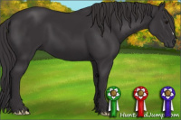Horse Color:Smoky Black 