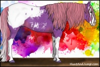 Horse Color:Watercolor Liver Chestnut Splash Snowcap 