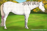 Horse Color:Plaid  Perlino Ice Roan Dun 