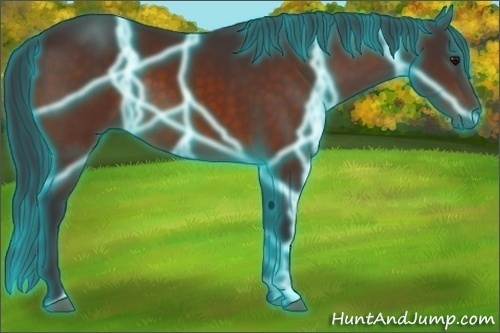 Horse Color: Thunderstruck Bay 